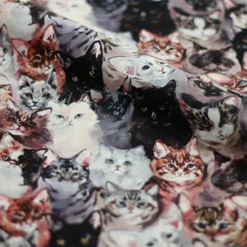 Women Grey "Find your Cat" Ballet Onesies