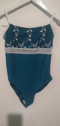 Girls Blue Embroidered Ballet Onesies